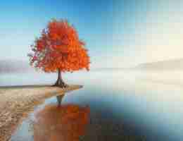 mini pro的﻿功​能‍